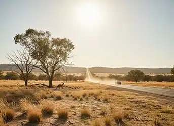 تحذيرات من صيف حار