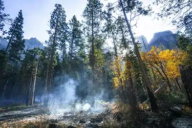 تحذيرات بيئية