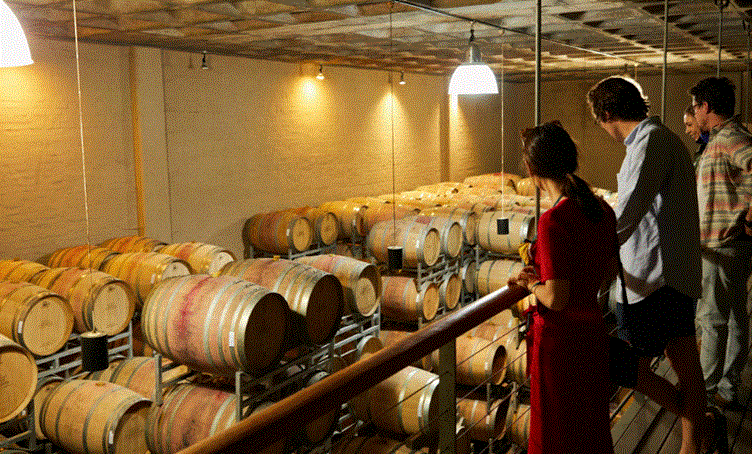 زوار يقفون داخل مصنع نبيذ أسترالي أمام براميل خشبية مكدسة، في مشهد يعكس صناعة النبيذ التقليدية